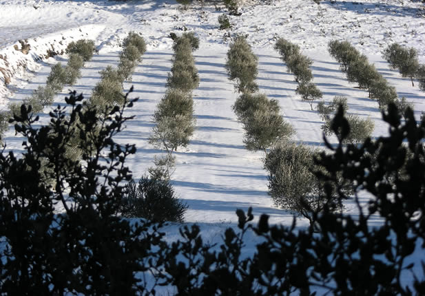 Hotel El Sester. Invierno